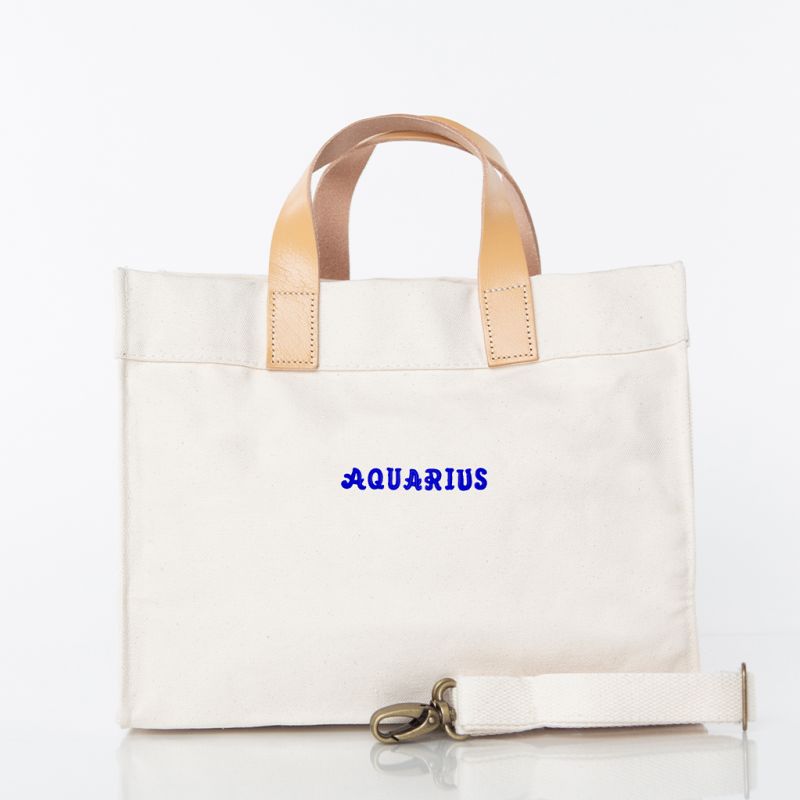 Mini Advantage Bag – Aquarius