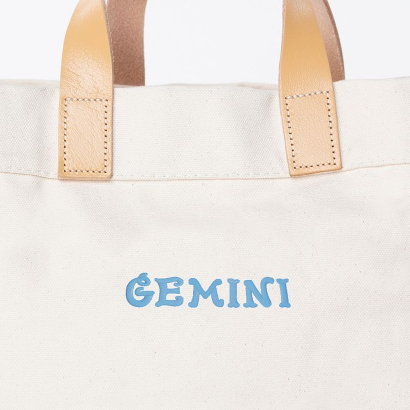 Mini Advantage Bag – Gemini