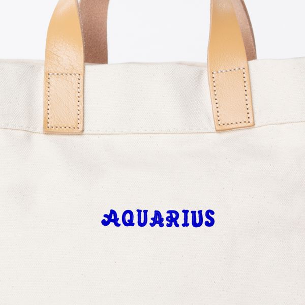 Mini Advantage Bag – Aquarius