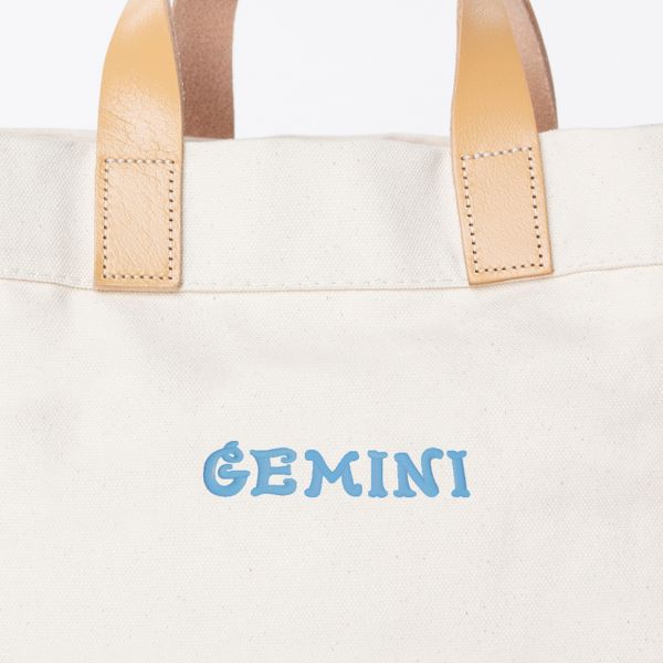 Mini Advantage Bag – Gemini